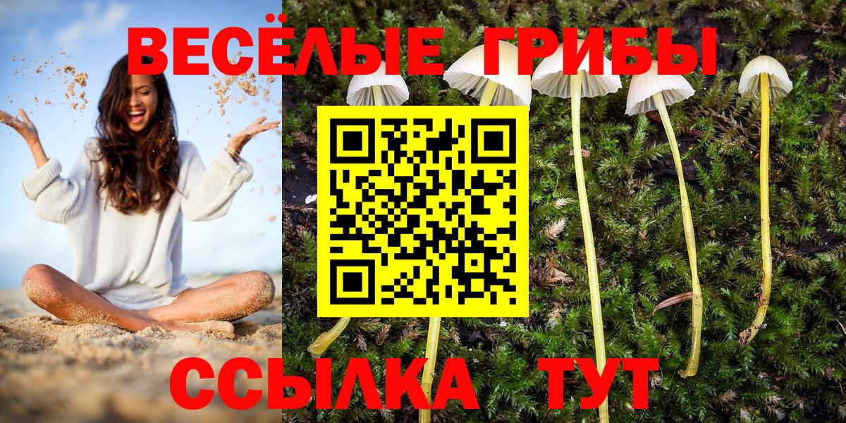 Наро-Фоминск  Галлюциногенные грибы MAGIC MUSHROOMS  Вход с VPN  Псилоцибиновые грибы мухоморы 